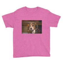 Load image into Gallery viewer, Youth Short Sleeve Beagle Puppy Tshirt