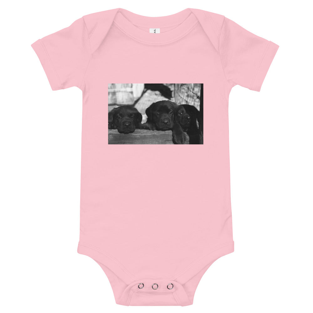 Infant Black Labrador Puppies Onesie – DOGTEEZ