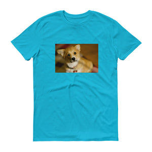 Short-Sleeve Corgi Puppy Tshirt