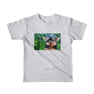 Yorkshire Terrier Short sleeve kids Tshirt