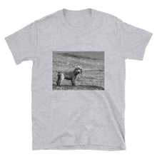 Load image into Gallery viewer, Short-Sleeve Unisex Black and White Lala Cocker Spaniel Tshirt