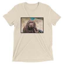 Load image into Gallery viewer, Short Sleeve Cocker Spaniel t-shirt