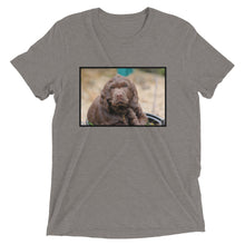 Load image into Gallery viewer, Short Sleeve Cocker Spaniel t-shirt