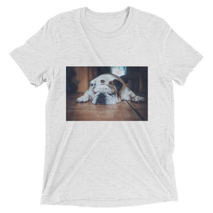 Short sleeve Sleeping Bulldog Tshirt