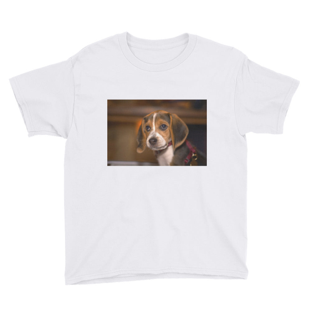 Youth Short Sleeve Beagle Puppy Tshirt