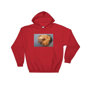 Hooded Yorkshire Terrier Sweatshirt