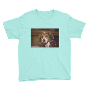 Youth Short Sleeve Beagle Puppy Tshirt