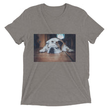 Load image into Gallery viewer, Short sleeve Sleeping Bulldog Tshirt