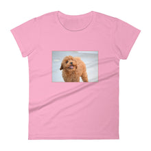 Load image into Gallery viewer, Women&#39;s short sleeve Poodle Puppy Tshirt