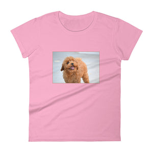 Women's short sleeve Poodle Puppy Tshirt