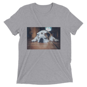 Short sleeve Sleeping Bulldog Tshirt