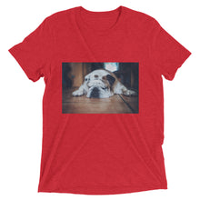 Load image into Gallery viewer, Short sleeve Sleeping Bulldog Tshirt