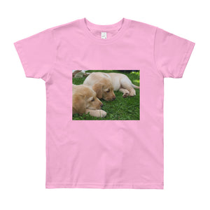 Youth Short Sleeve Yellow Labrador Puppies Tshirt