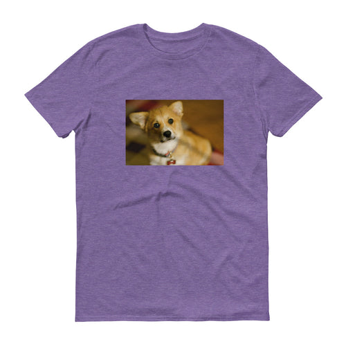 Short-Sleeve Corgi Puppy Tshirt