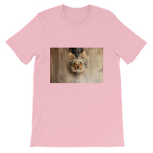Load image into Gallery viewer, Short-Sleeve Yorkshire Terrier Looking Up Unisex Tshirt