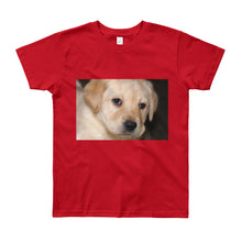 Load image into Gallery viewer, Youth Short Sleeve Yellow Labrador Puppy Tshirt