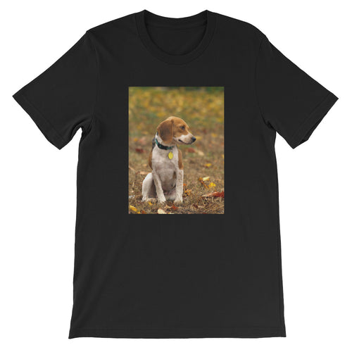 Short-Sleeve Unisex Fall Beagle Tshirt