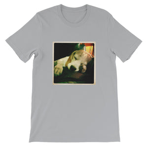 Short-Sleeve Unisex Sleeping Rodi the Beagle Tshirt
