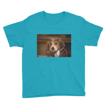 Load image into Gallery viewer, Youth Short Sleeve Beagle Puppy Tshirt