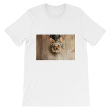 Load image into Gallery viewer, Short-Sleeve Yorkshire Terrier Looking Up Unisex Tshirt