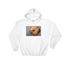 Load image into Gallery viewer, Hooded Yorkshire Terrier Sweatshirt