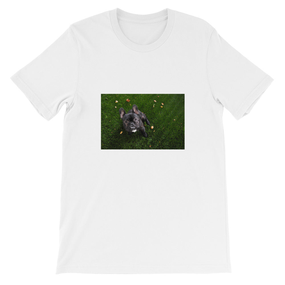Short-Sleeve Black Outdoor Bulldog Unisex Tshirt