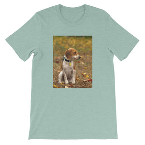 Short-Sleeve Unisex Fall Beagle Tshirt