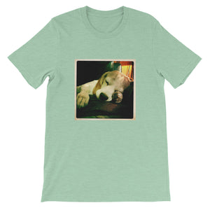 Short-Sleeve Unisex Sleeping Rodi the Beagle Tshirt